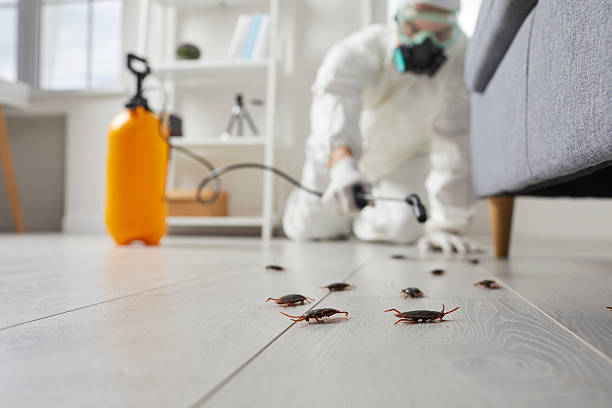 Trusted Rodent Control service in Kewaunee, WI - Nex Pest Control