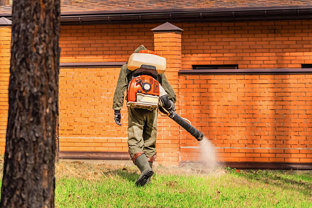 Trusted Cockroach Control service in Kewaunee, WI - Nex Pest Control